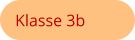 Klasse 3b